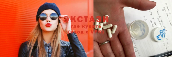 ECSTASY Гусь-Хрустальный