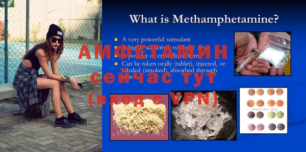 шишки Балахна